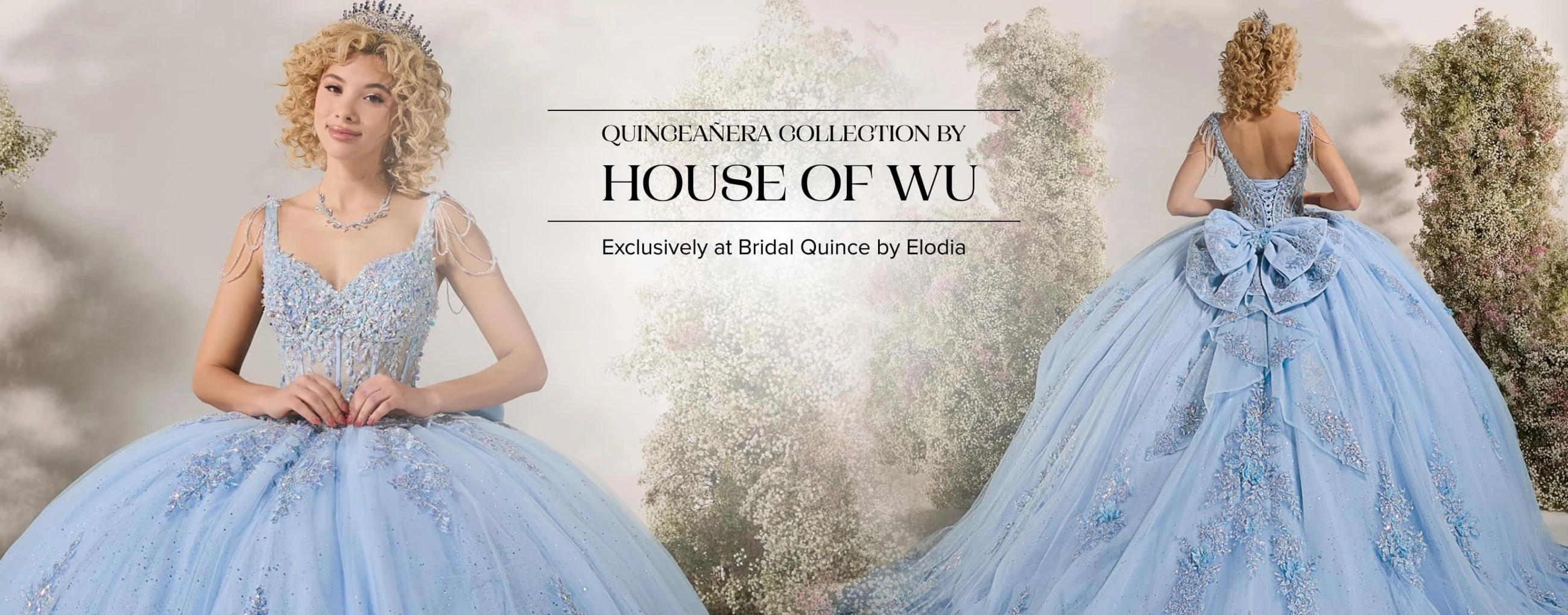 House of Wu Desktop Banner