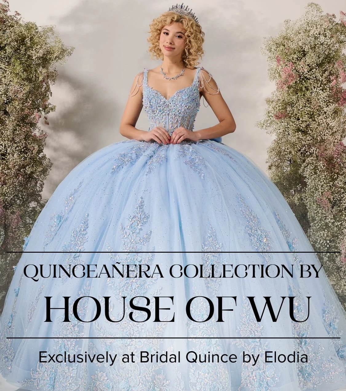 House of Wu Mobile Banner