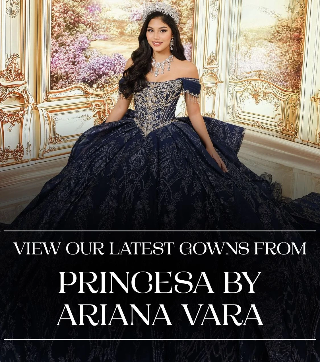 Princesa by Ariana Vara Desktop Banner