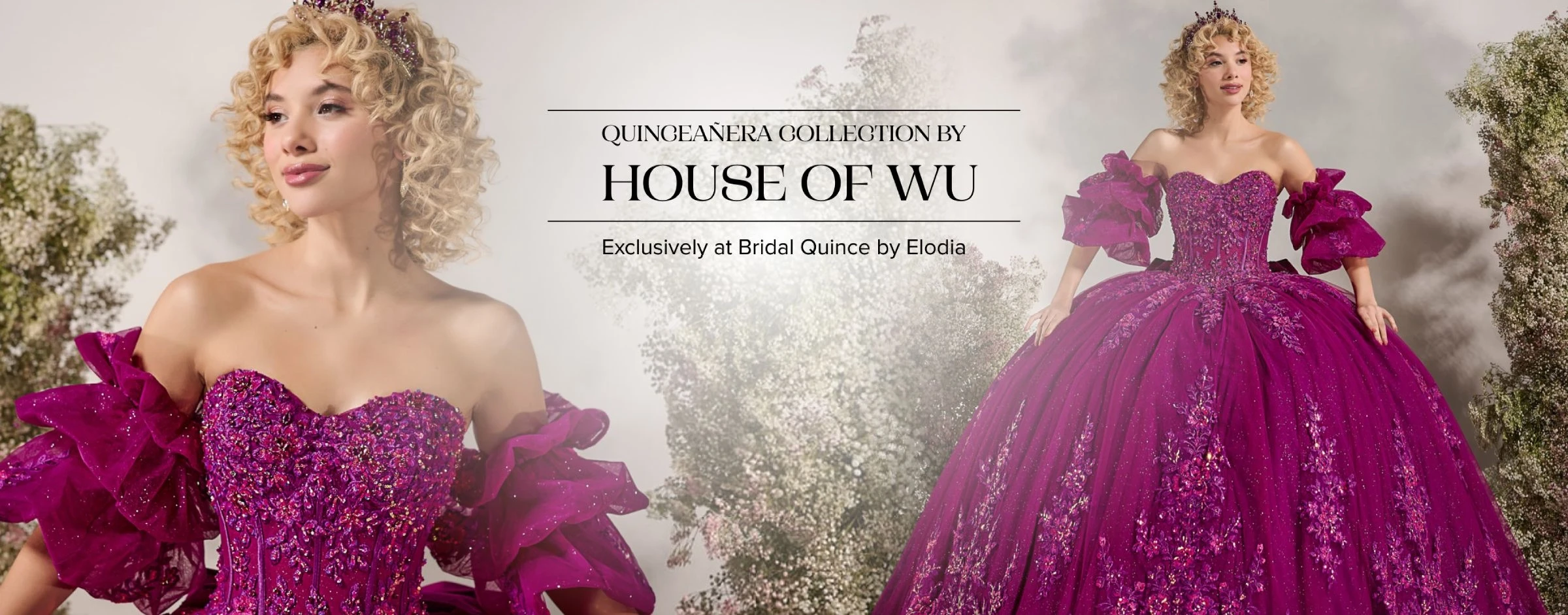 House of Wu Desktop Banner